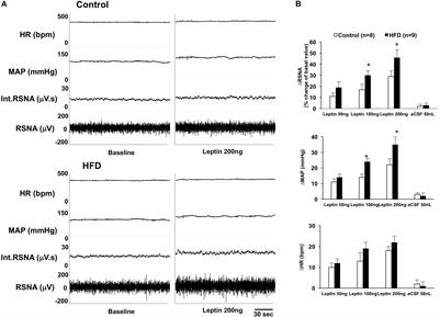 Leptin-Mediated Sympathoexcitation in Obese Rats: Role for Neuron–Astrocyte Crosstalk in the Arcuate Nucleus